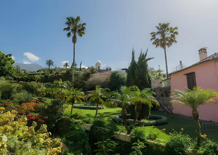 Mojo Surf Yoga House